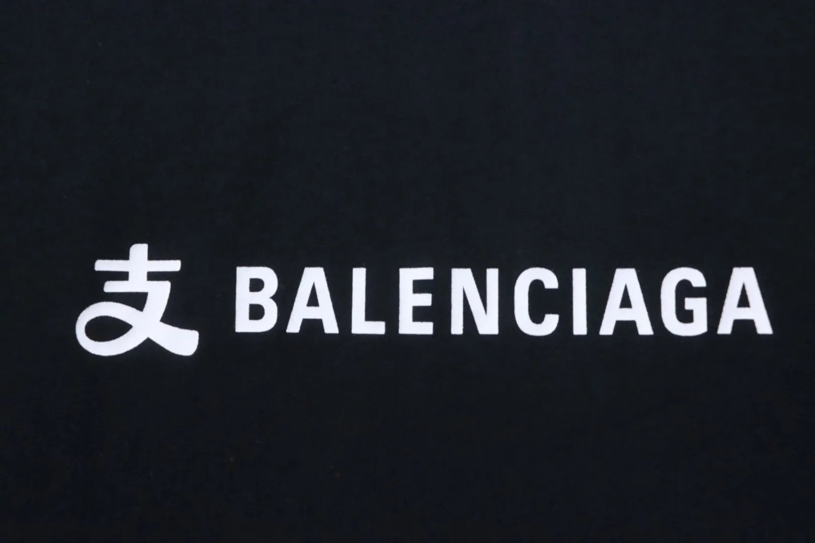 Brand Logo x Alipay
