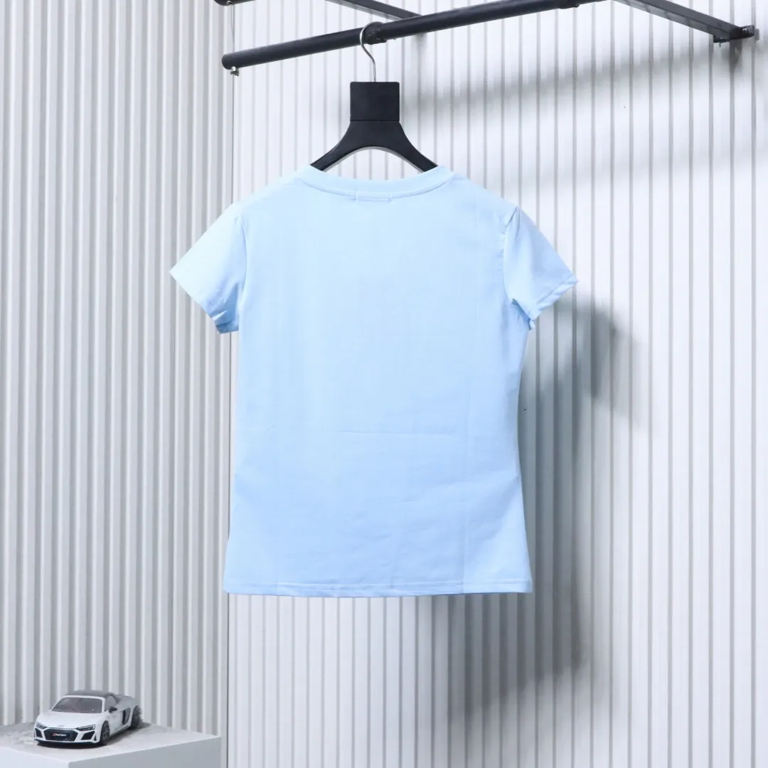 Back RL Pony Embroidered V-Neck Cotton T-Shirt Color Blue