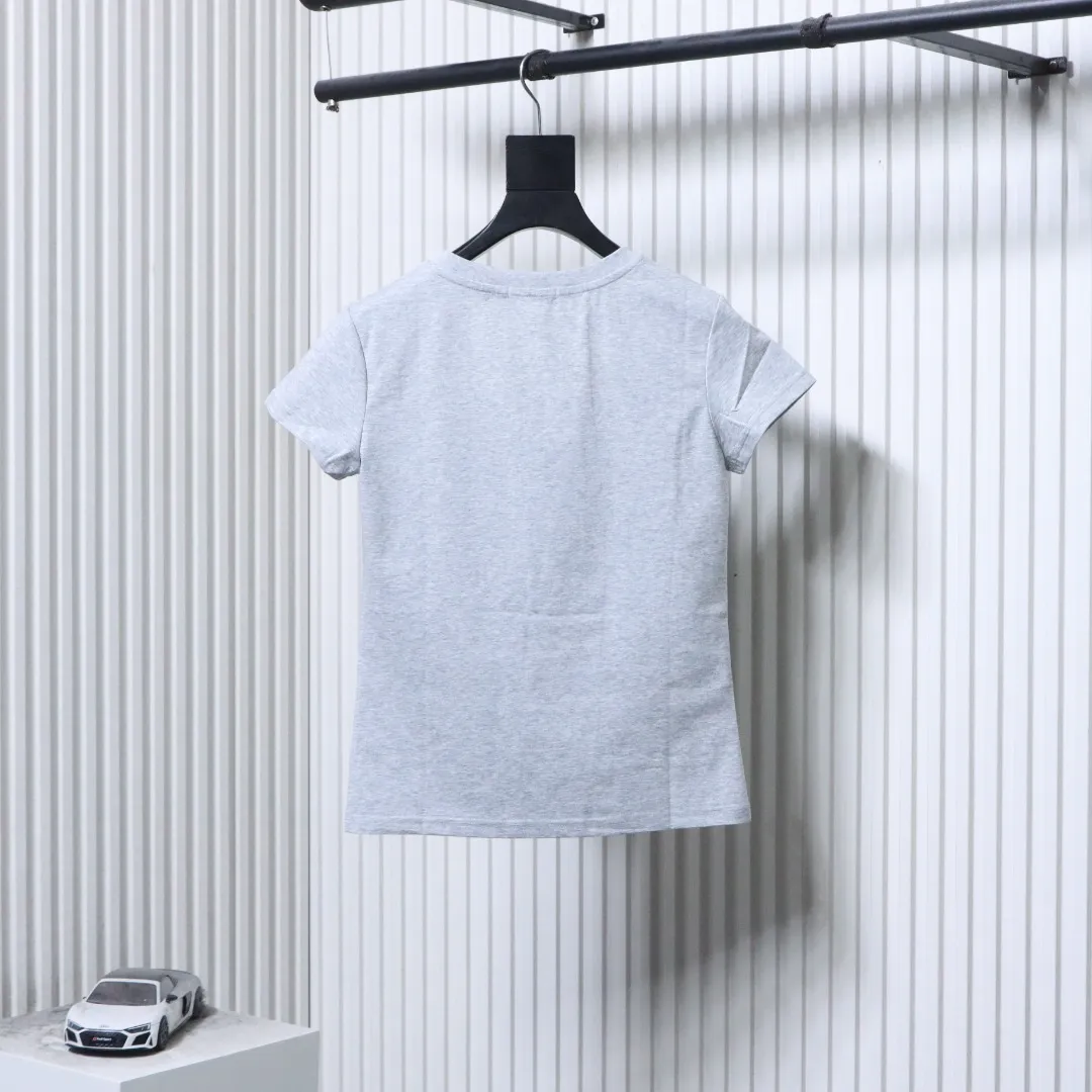 Back RL Pony Embroidered V-Neck Cotton T-Shirt Color Gray