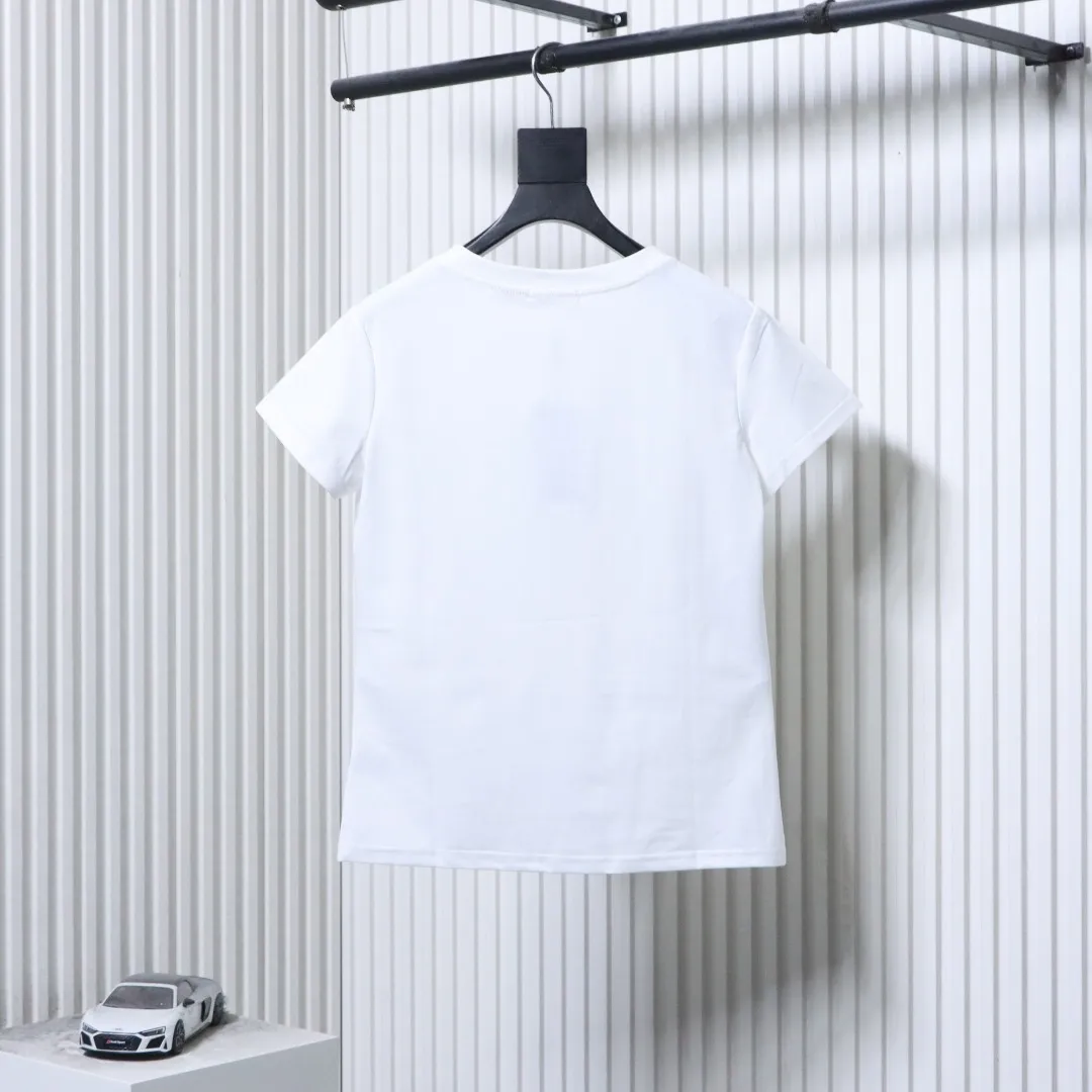 Back RL Pony Embroidered V-Neck Cotton T-Shirt Color White