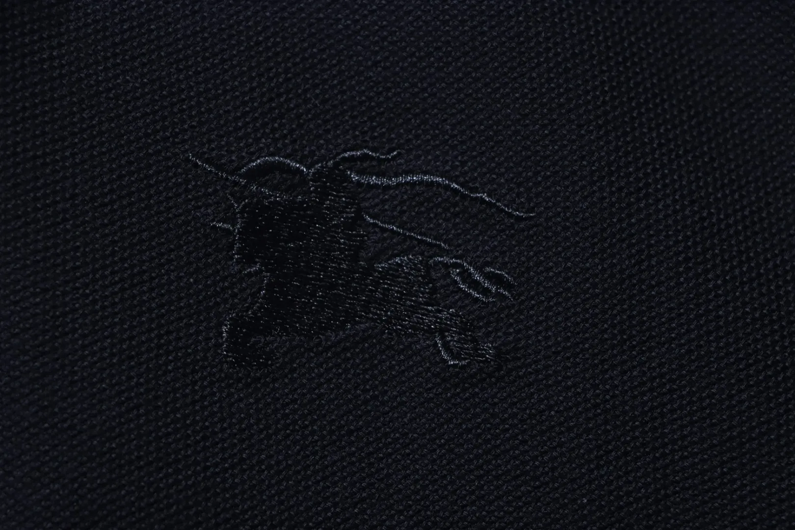 Logo Detail
