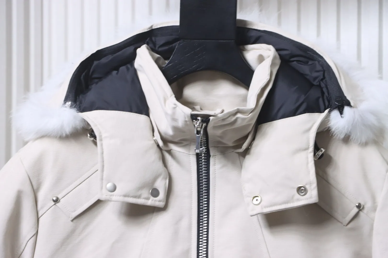 Collar Detail