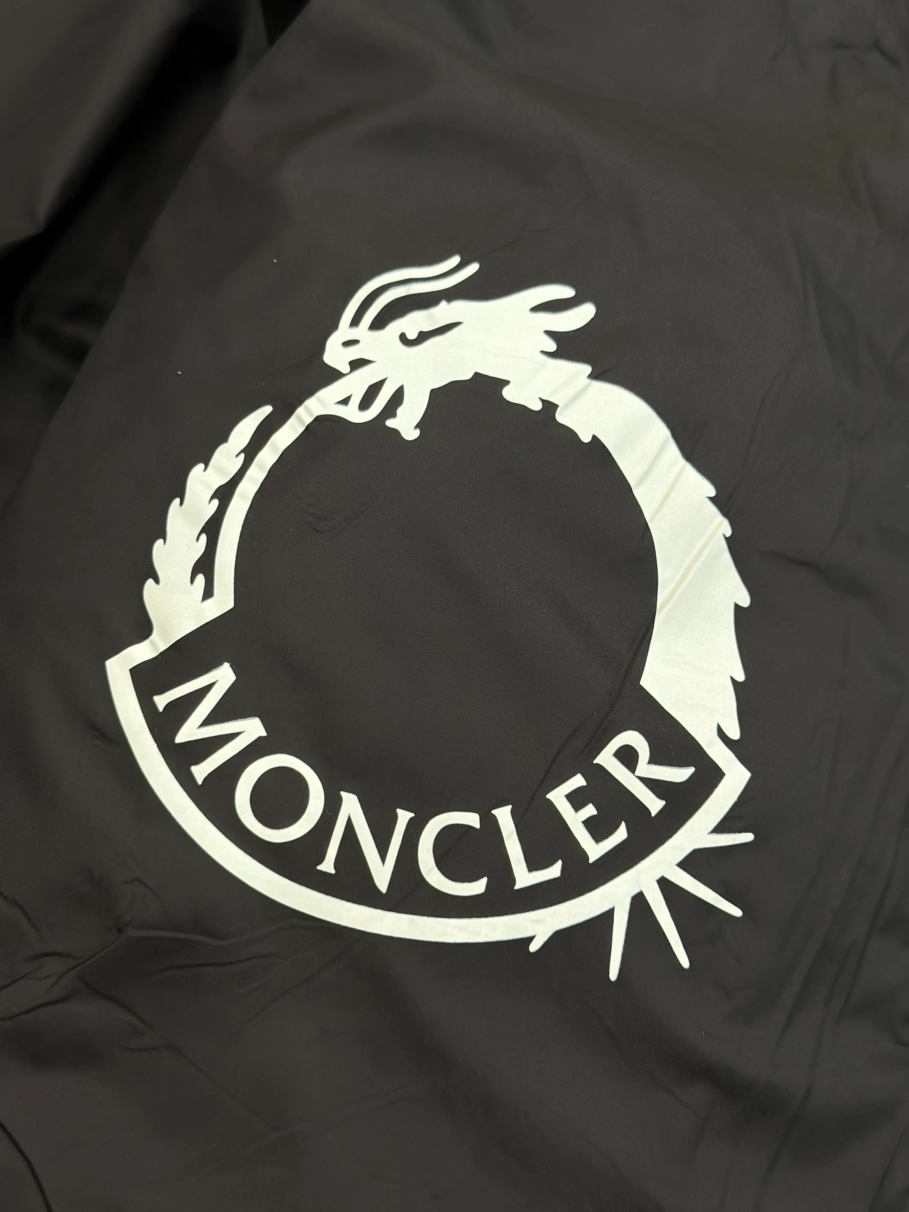 Logo Detail