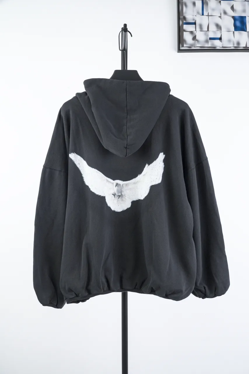 Back View GAP Dove Logo Collaboration Hoodie