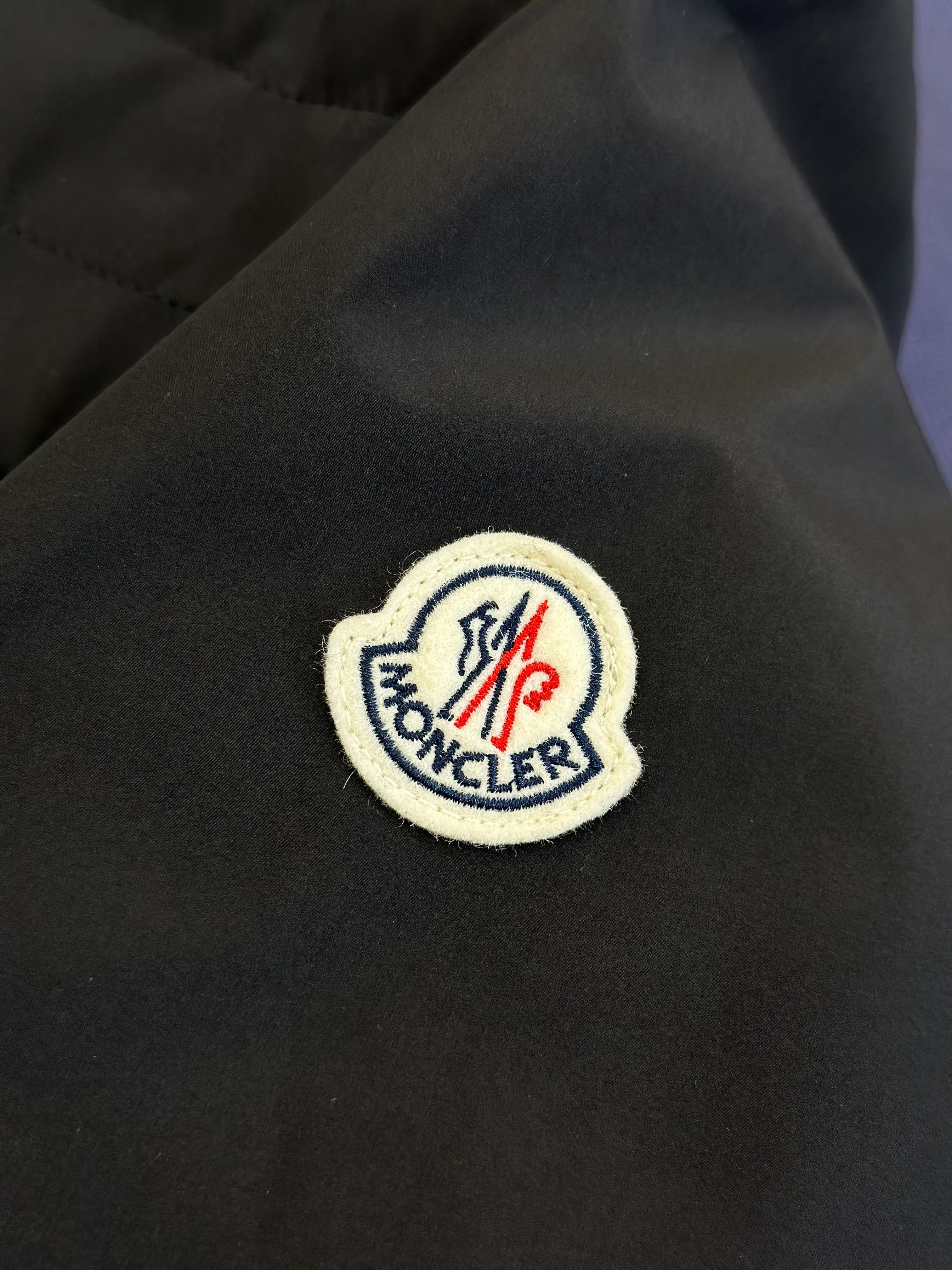 Logo Details